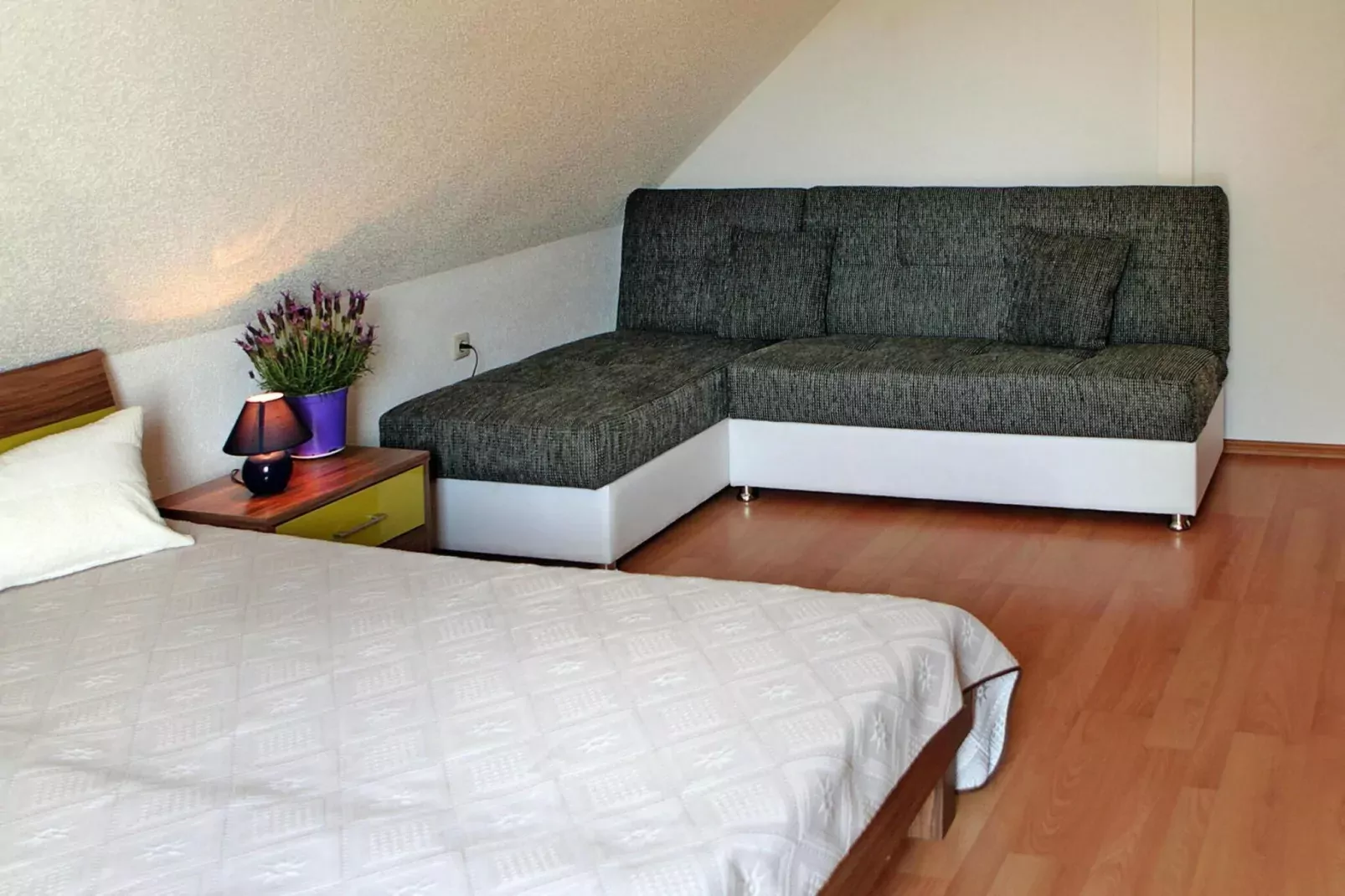 FH Nr 2 mit Hund 7-8 Personen 135 qm-Chambre