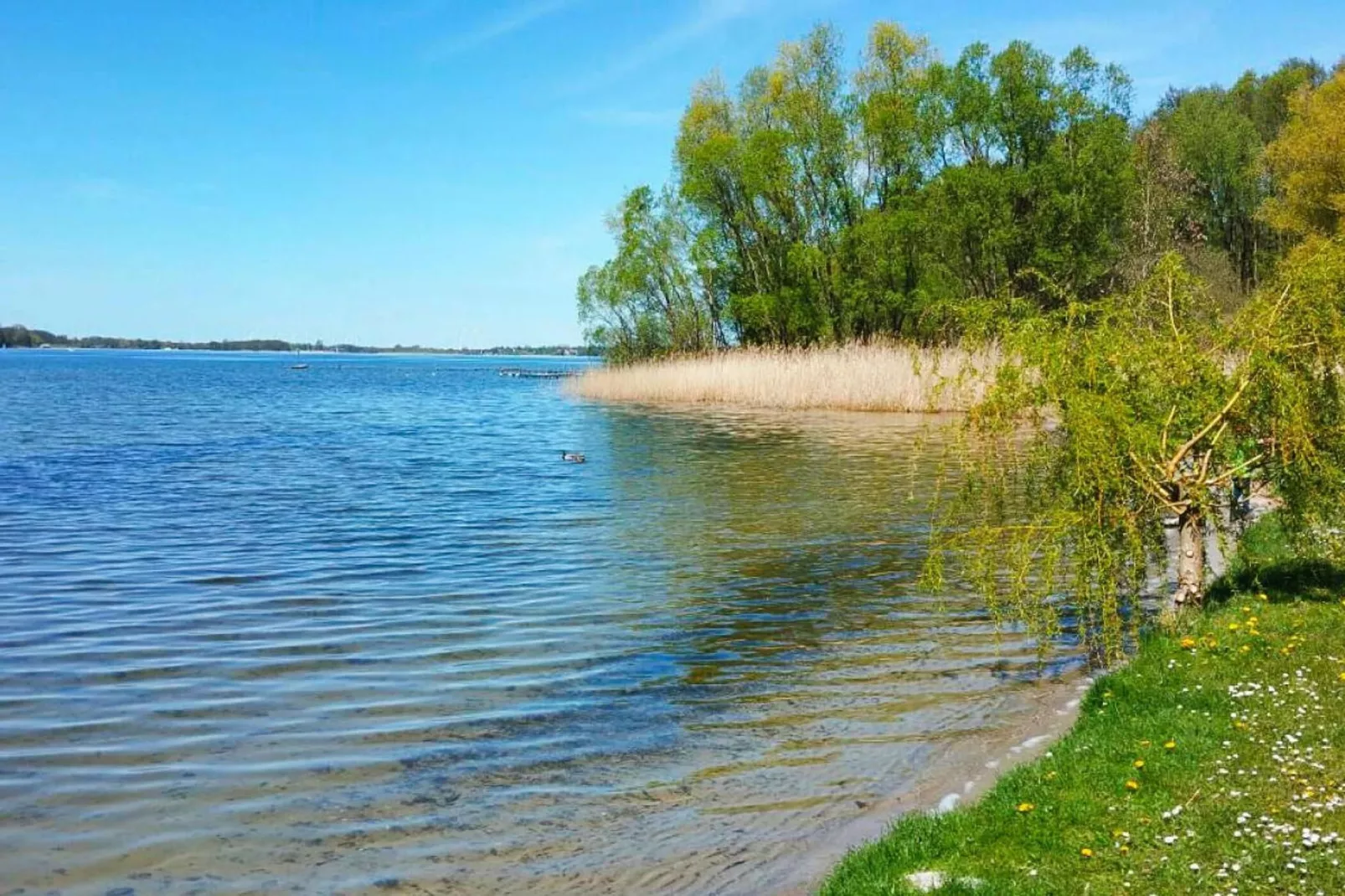 Ferienwohnung am Plauer See-Areas summer 5km