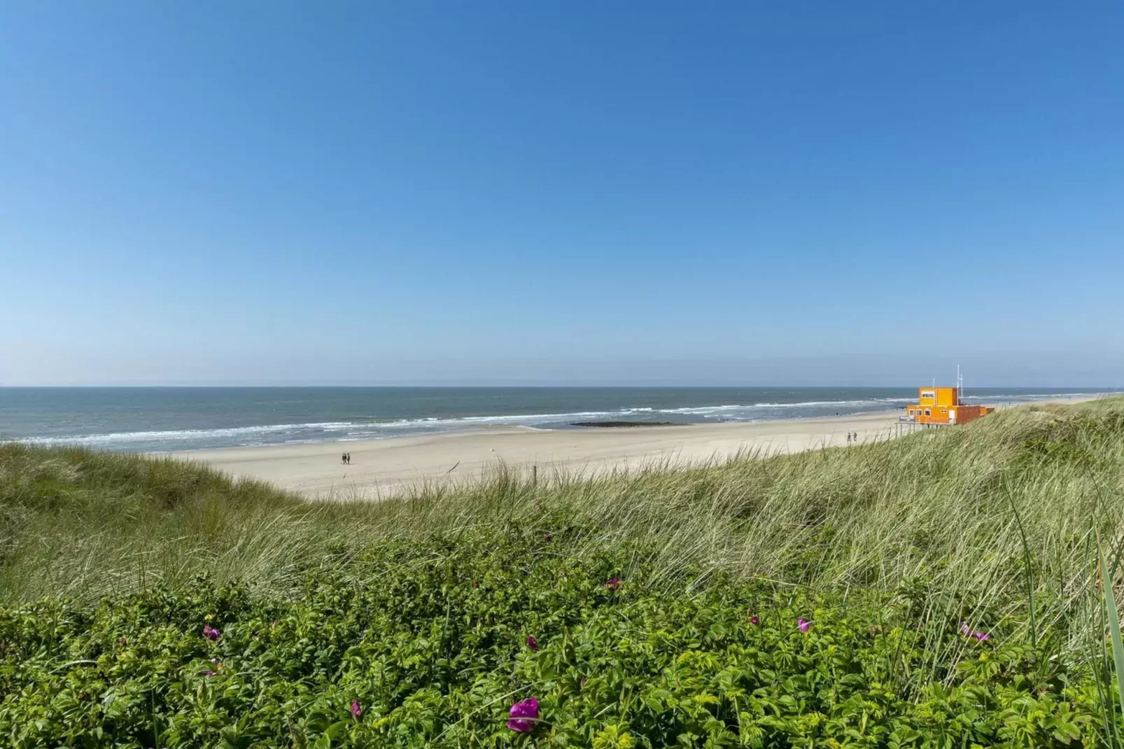 Suite Duinzicht-Areas summer 5km