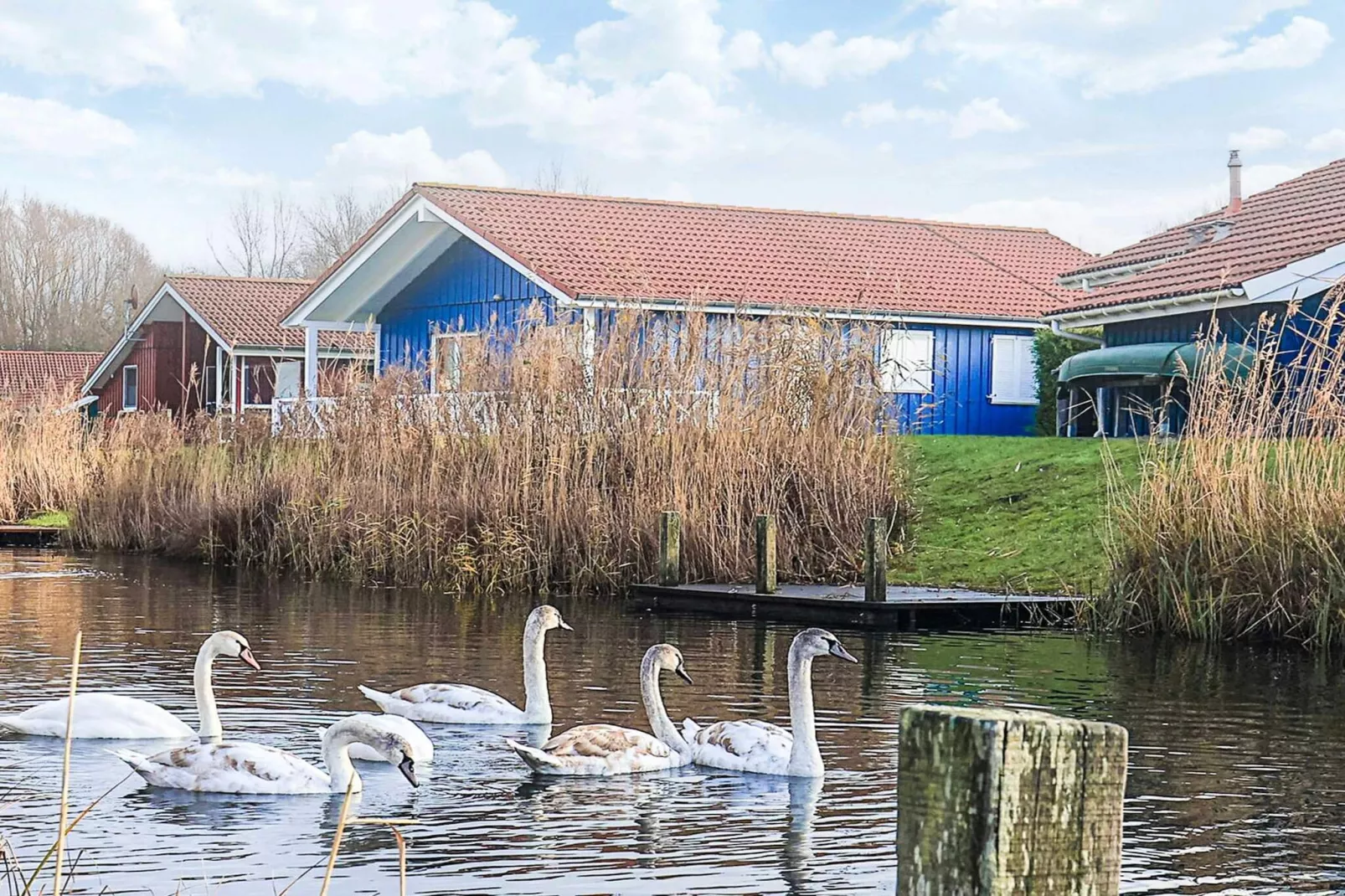 4 etoiles maison de vacances a Ottendorf