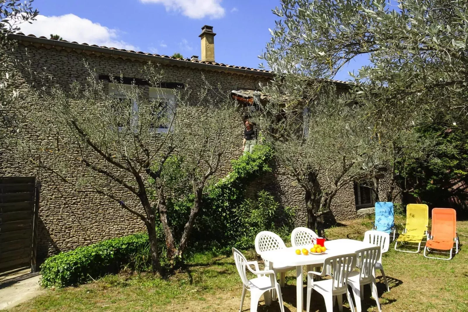 Ferienhaus in Vaison-la-Romaine / L'Olivier-View summer