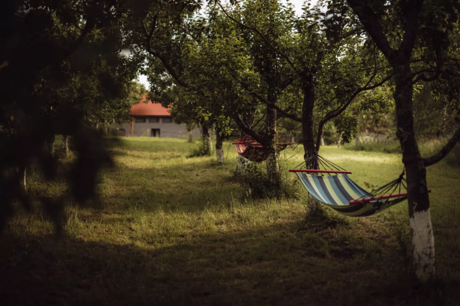 Apartament Żółty Gronowo-Gardens summer