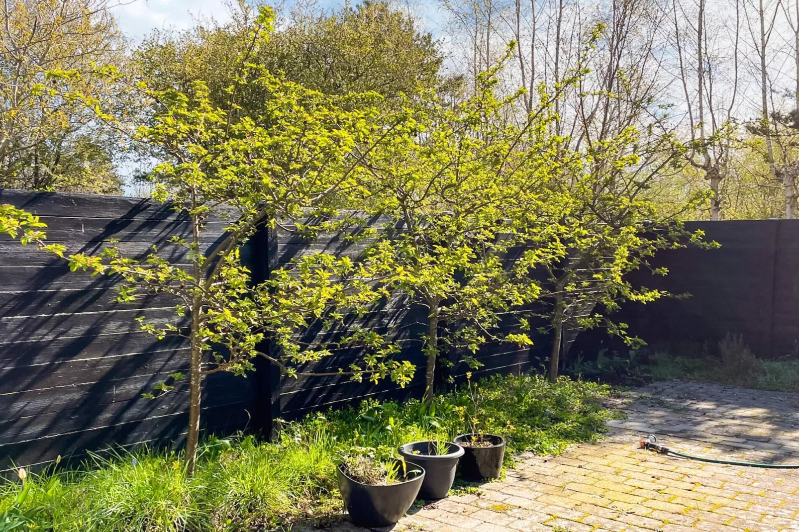 7 person holiday home in Sjællands Odde-By Traum-View