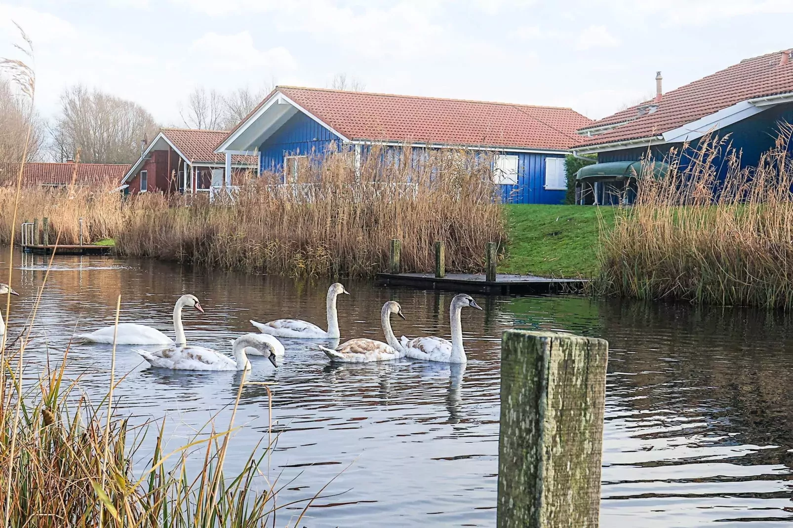 4 star holiday home in Ottendorf-View