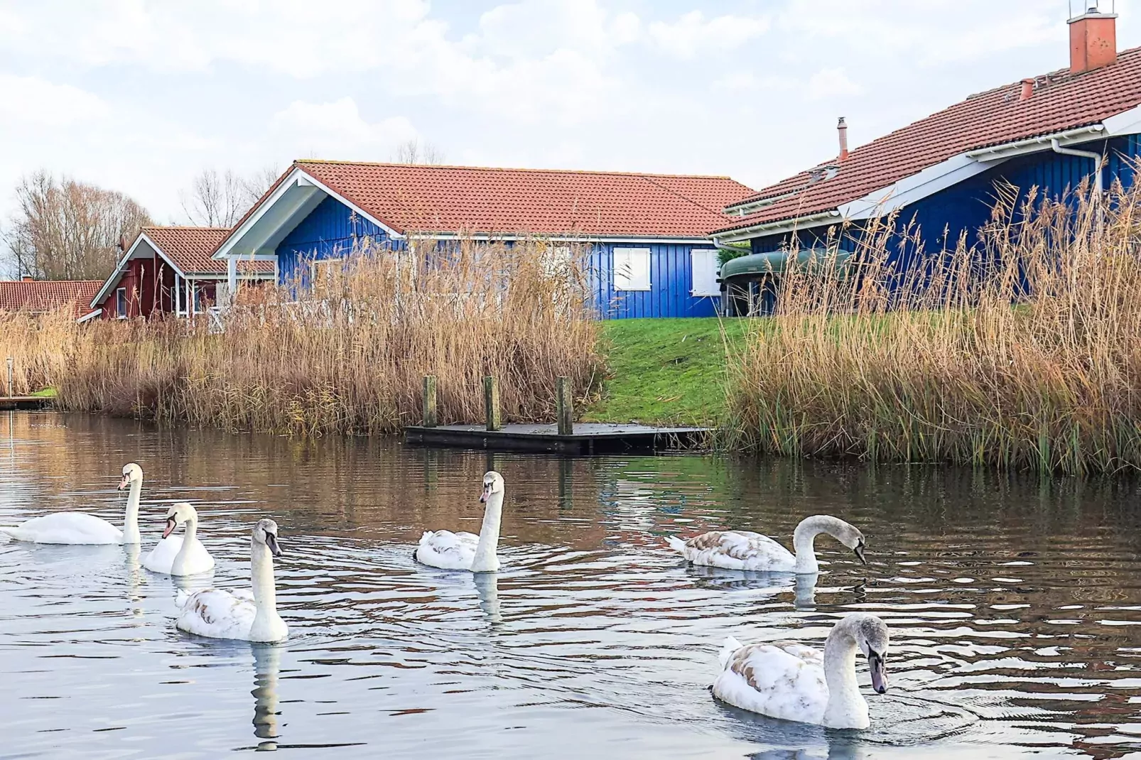 4 star holiday home in Ottendorf-View