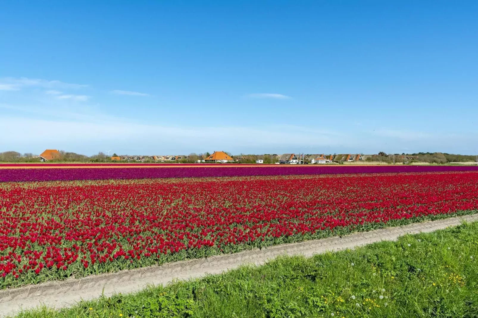 De Buitenplaats 72-Areas summer 5km