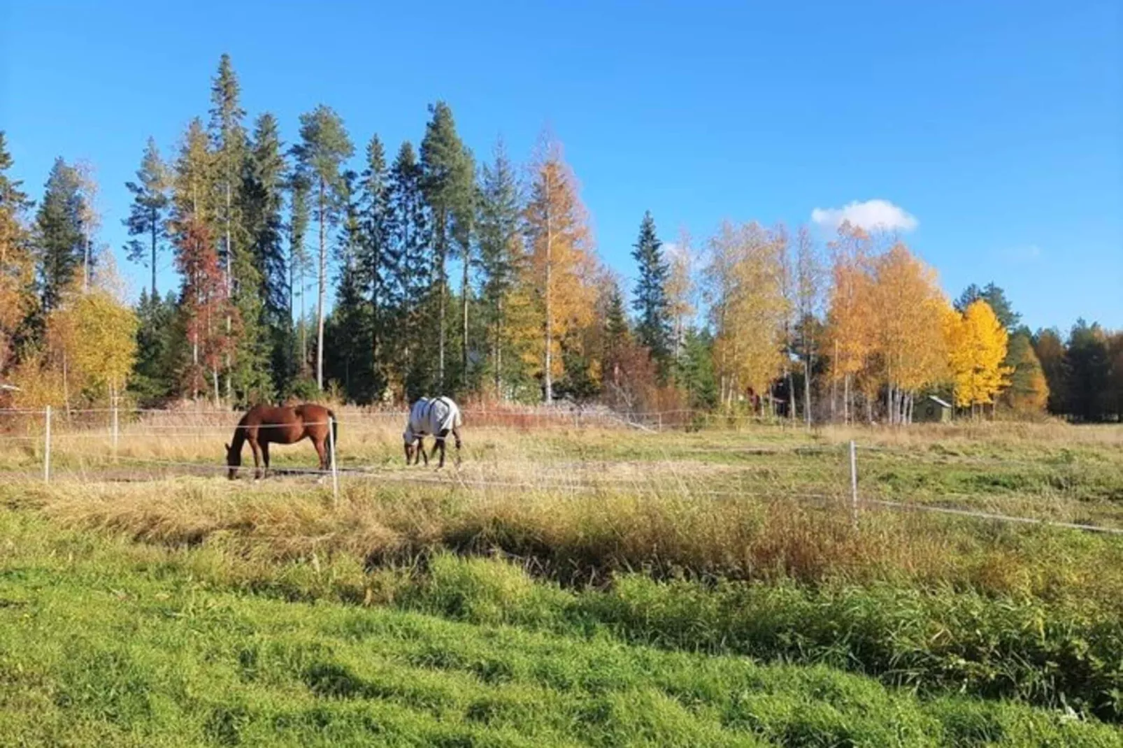 8 person holiday home in Bureå-By Traum-Indoor