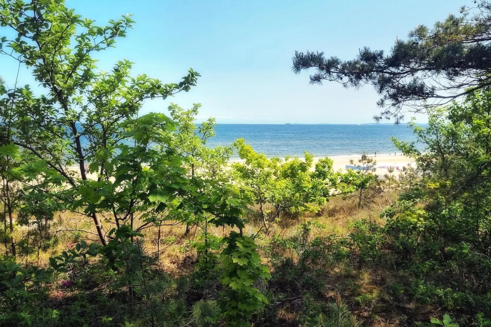 Apartament na 2 piętrze-Areas summer 5km