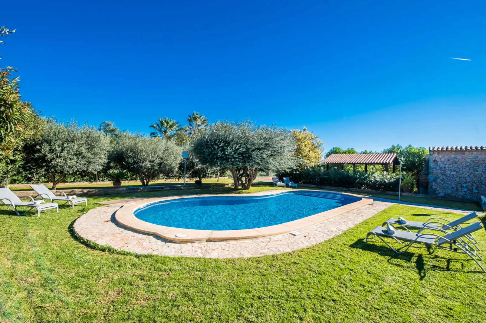 Cas Home-Gardens summer