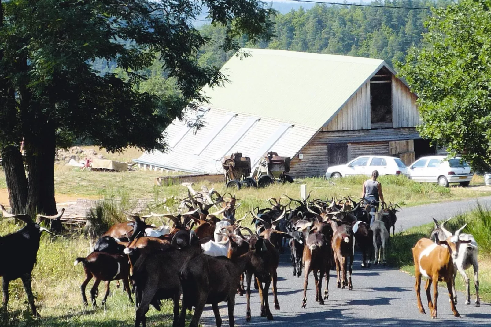 Ferienwohnung in Retournac-Einrichtungen
