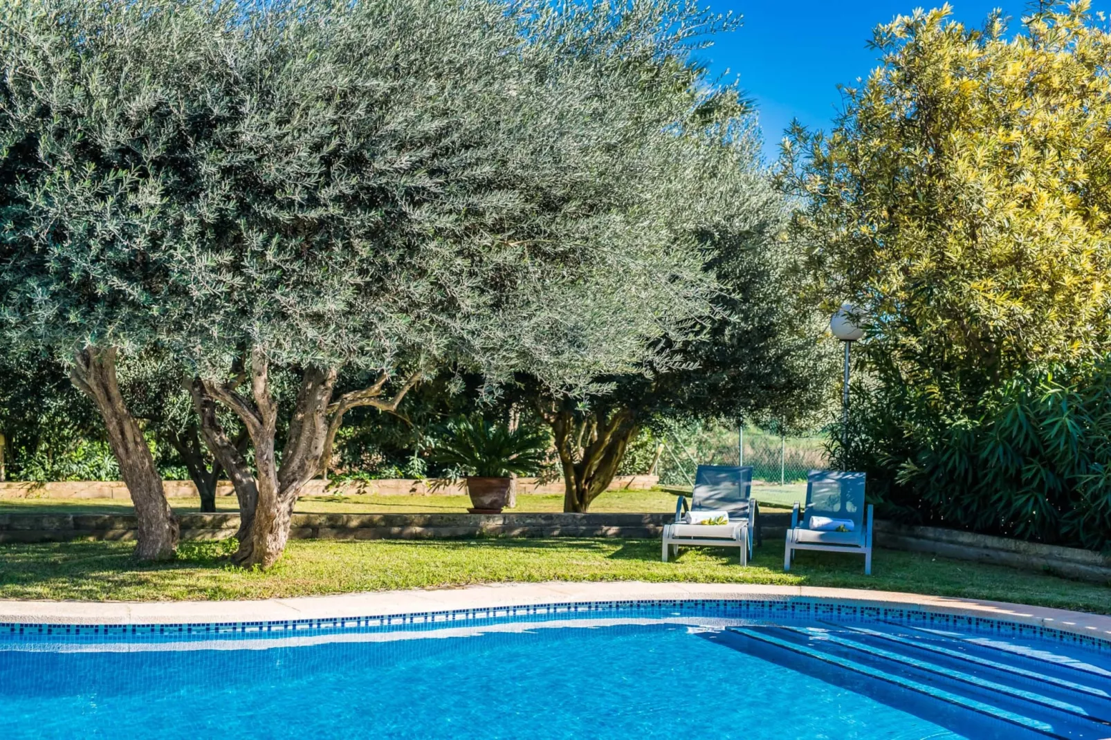 Cas Home-View summer