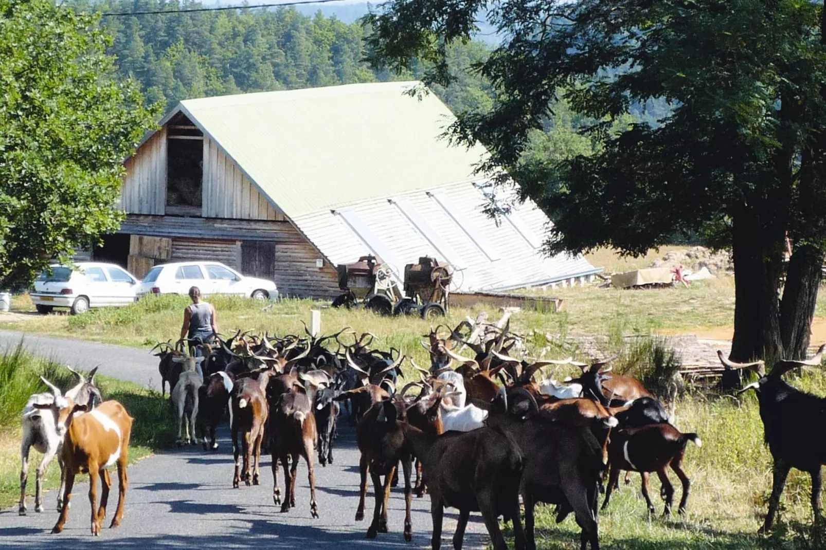 Ferienwohnung in Retournac-Einrichtungen