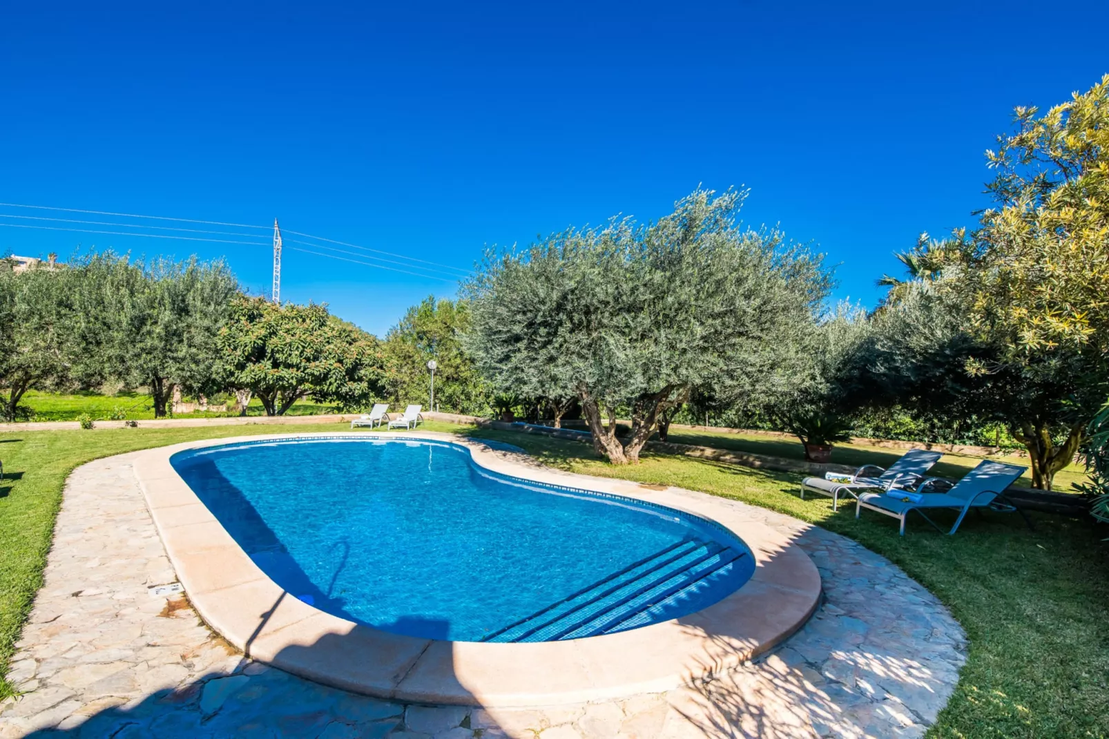 Cas Home-Pool