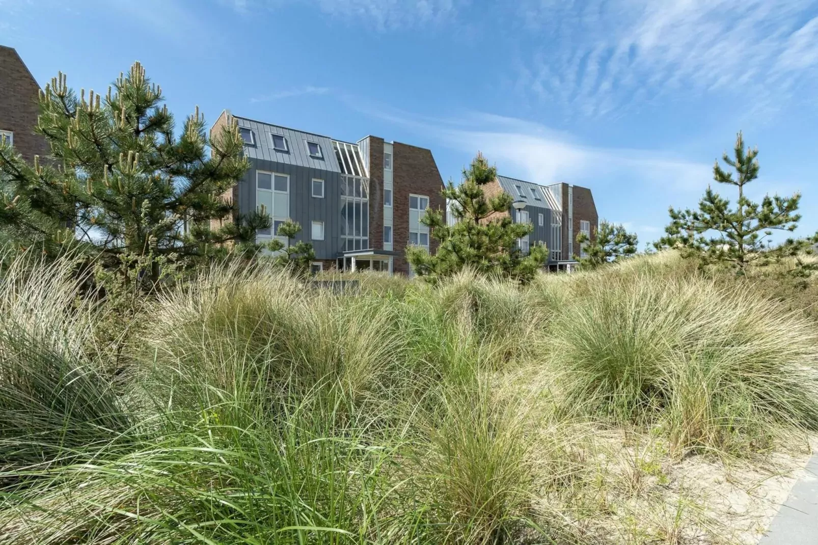 Duinerei B301-Exterior summer