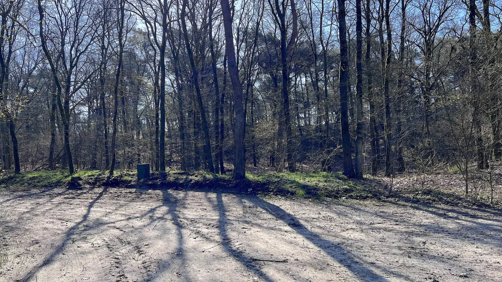 areasummer1km