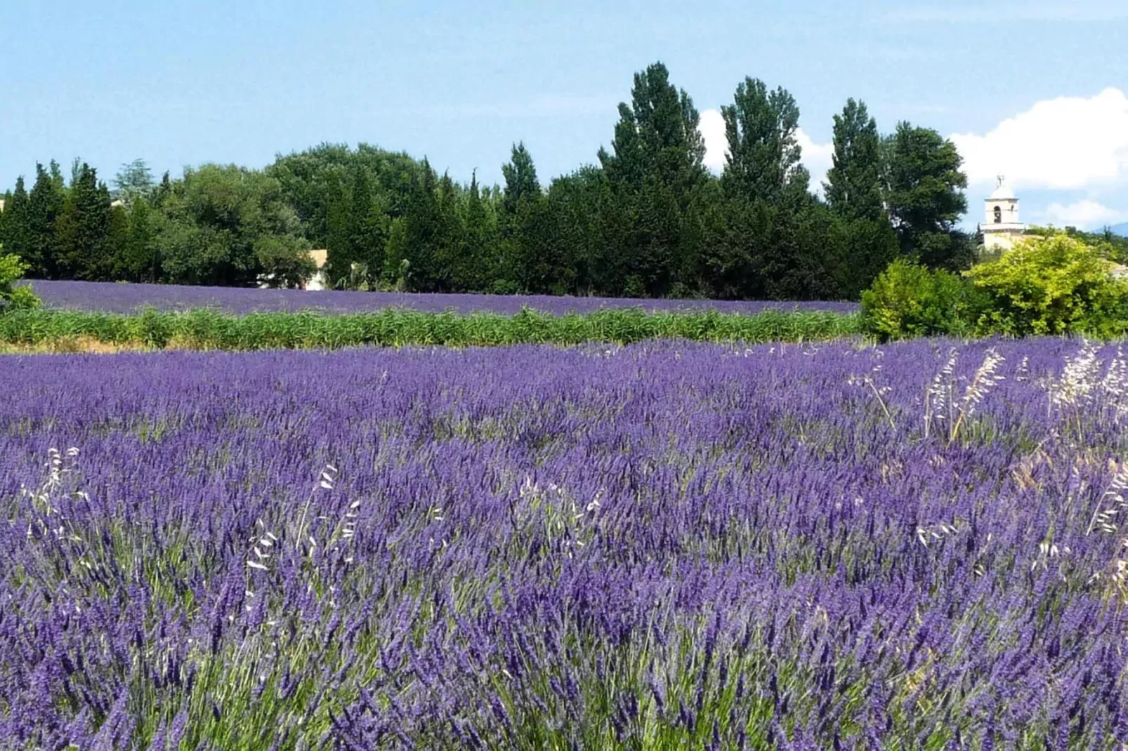 Doppelhaushälfte in Redortiers-Jardin d'été
