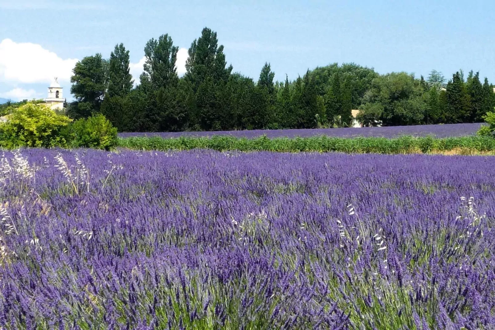 Doppelhaushälfte in Redortiers-Jardin d'été