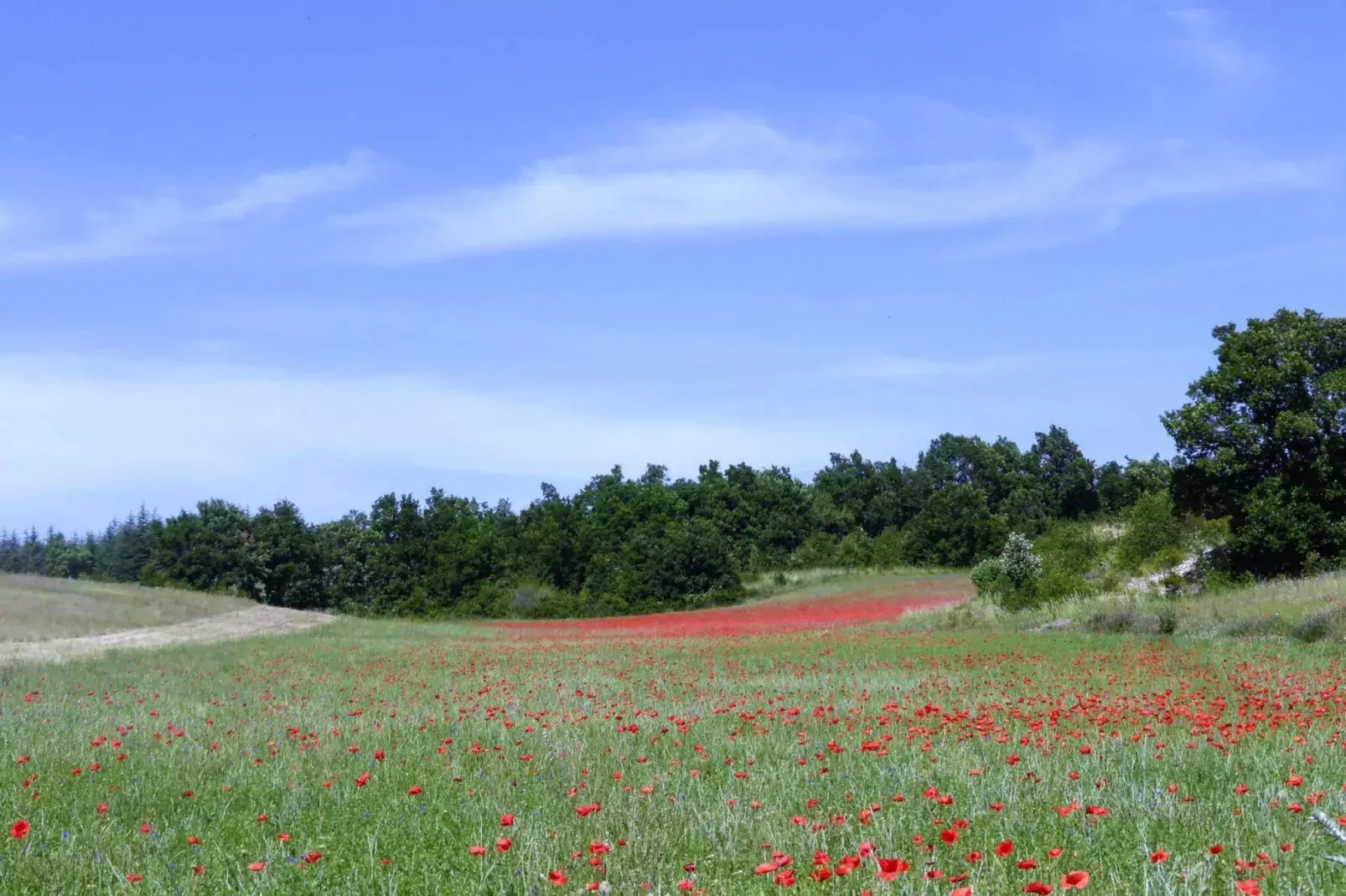 Doppelhaushälfte in Revest-du-Bion-Areas summer 5km