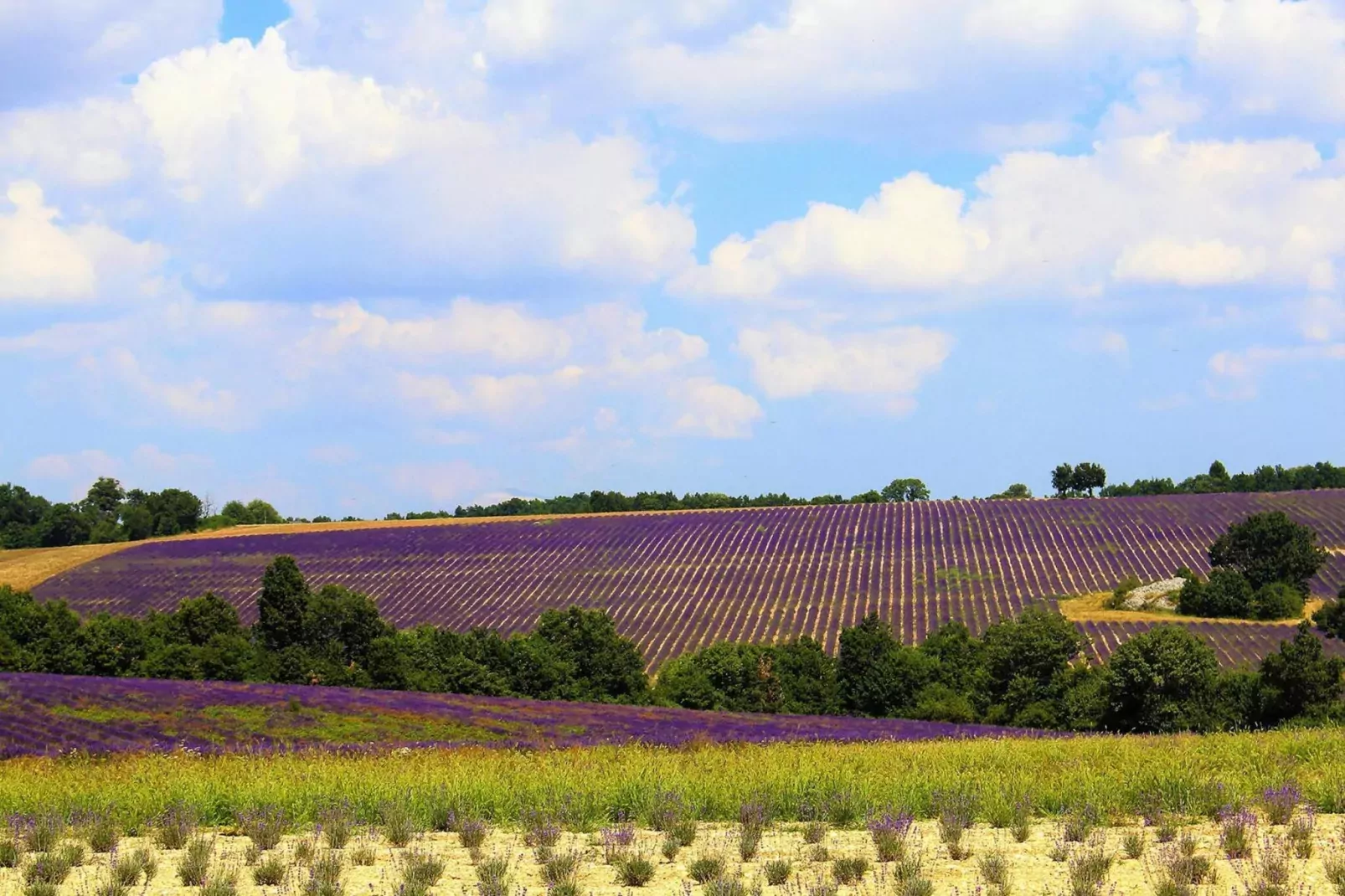Doppelhaushälfte in Revest-du-Bion-Areas summer 5km