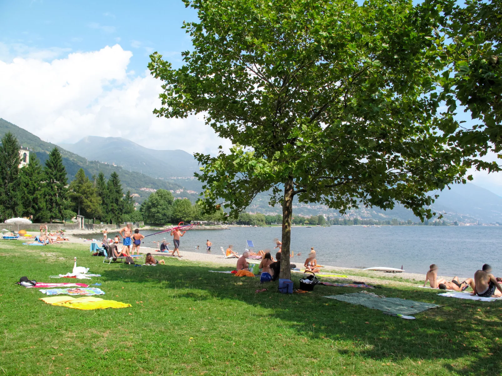 Il Melo-Area