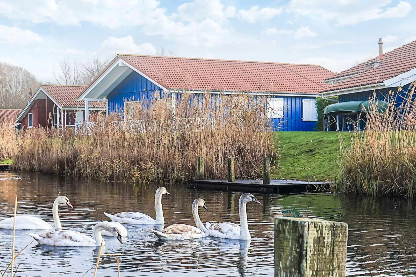 4 etoiles maison de vacances a Ottendorf