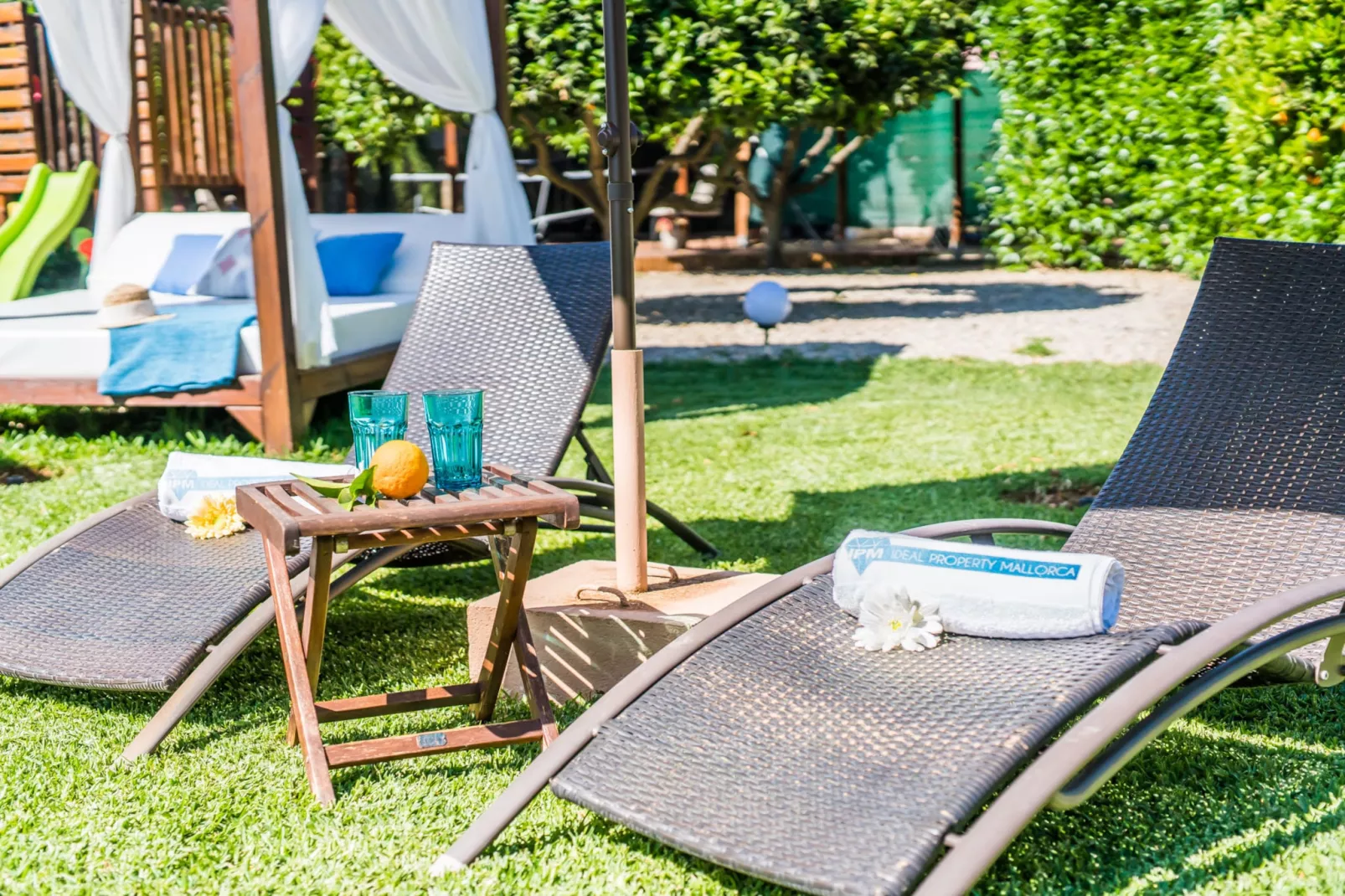 Finca Alegre-Atmosphere
