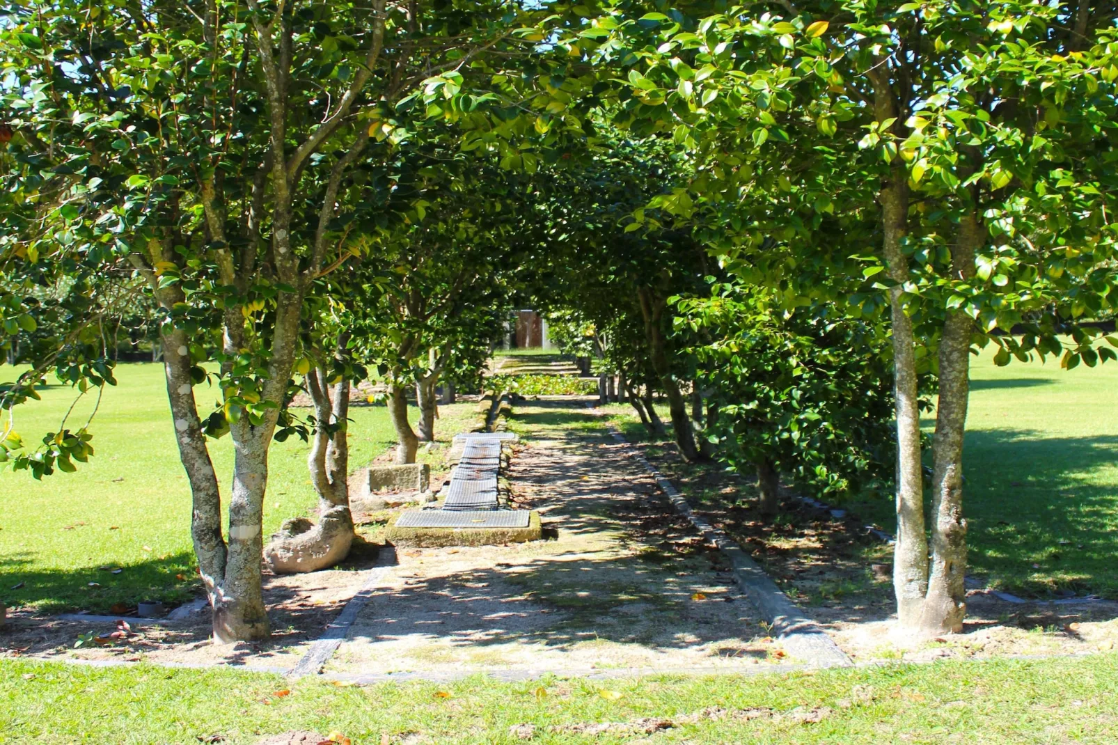 Casa do Pelourinho-Gardens summer
