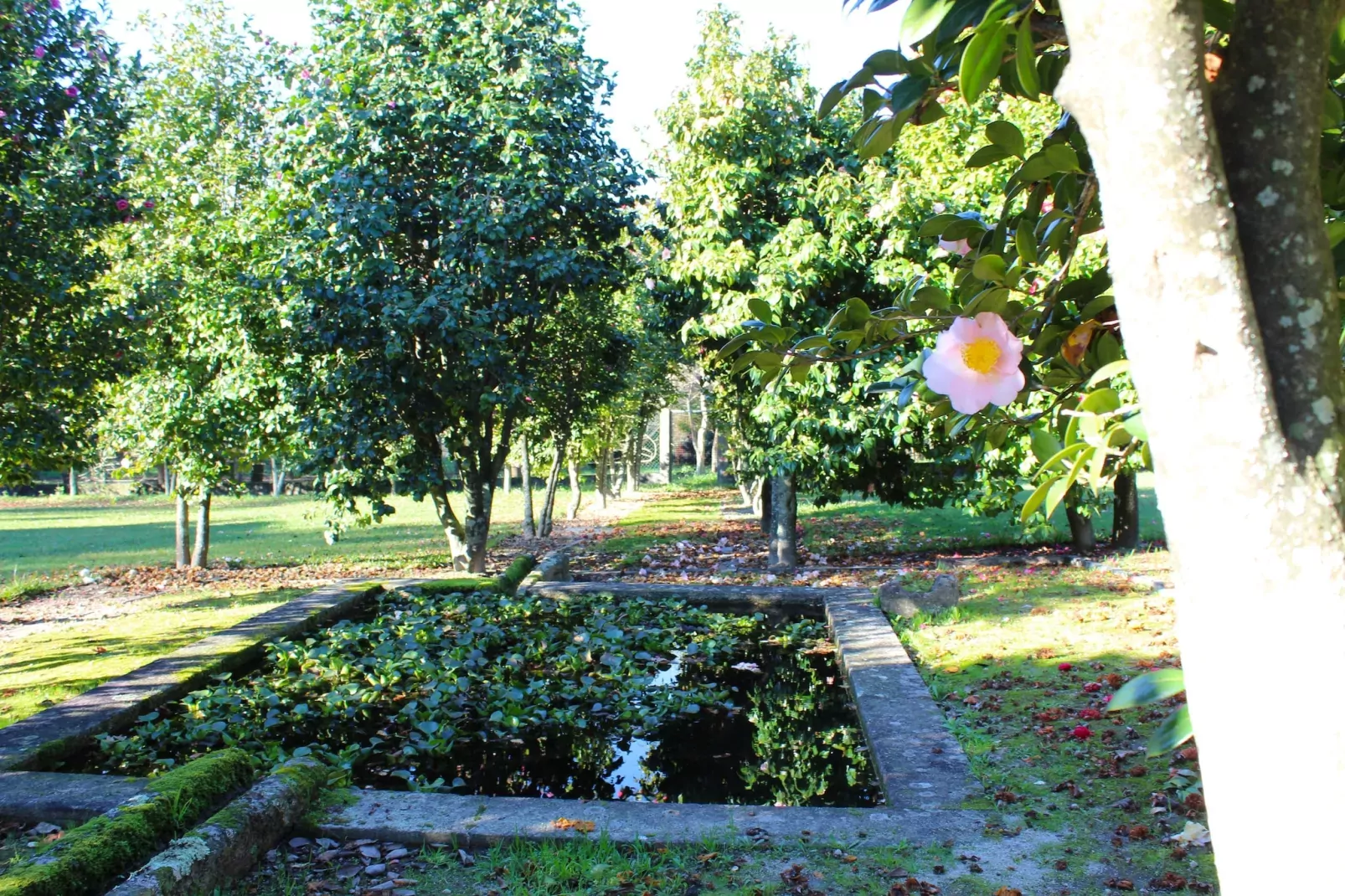 Casa da Adega-Gardens summer