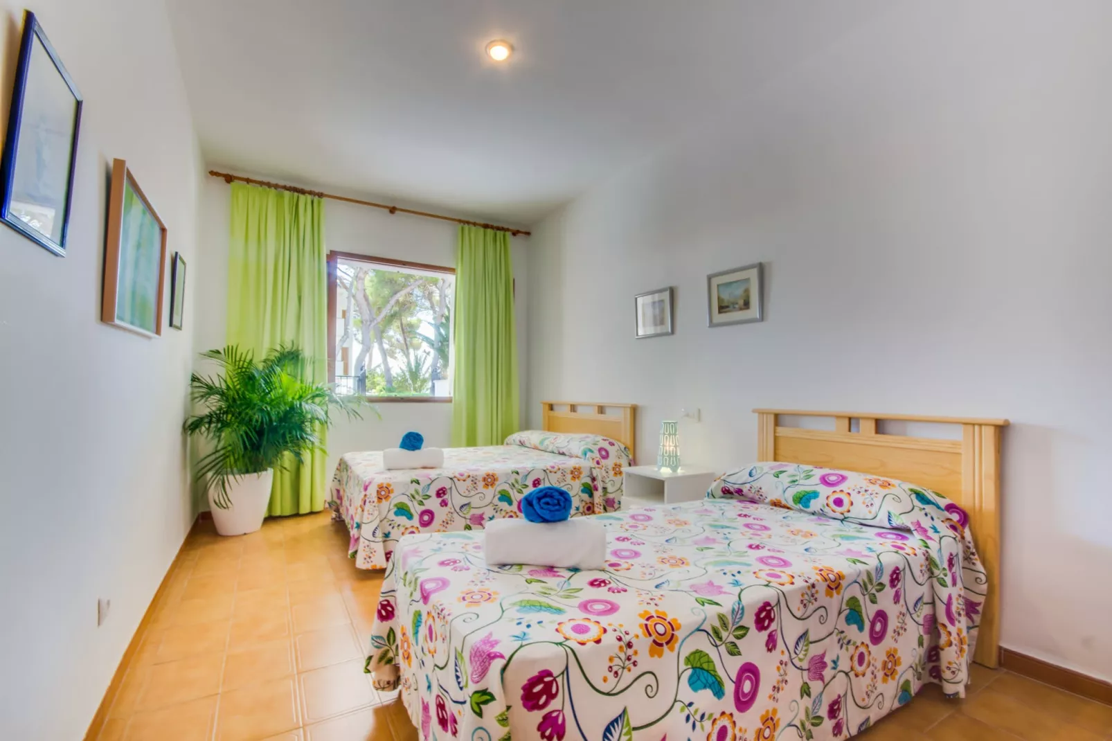 Villa Rosita 12-Bedroom