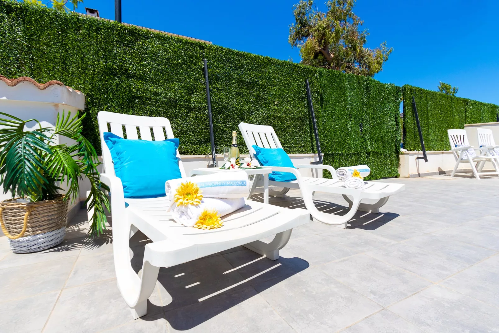 Villa Rosita 12A-Terrace