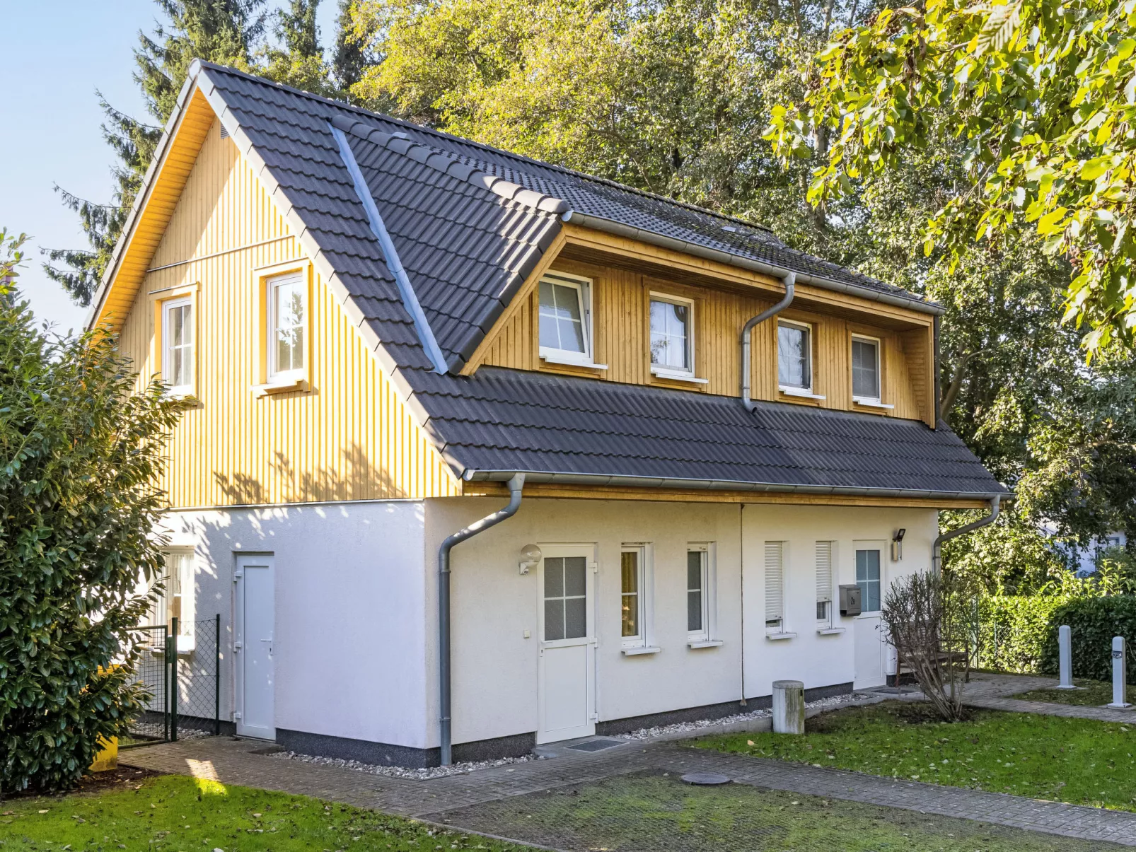 Schneider 2d-Outside