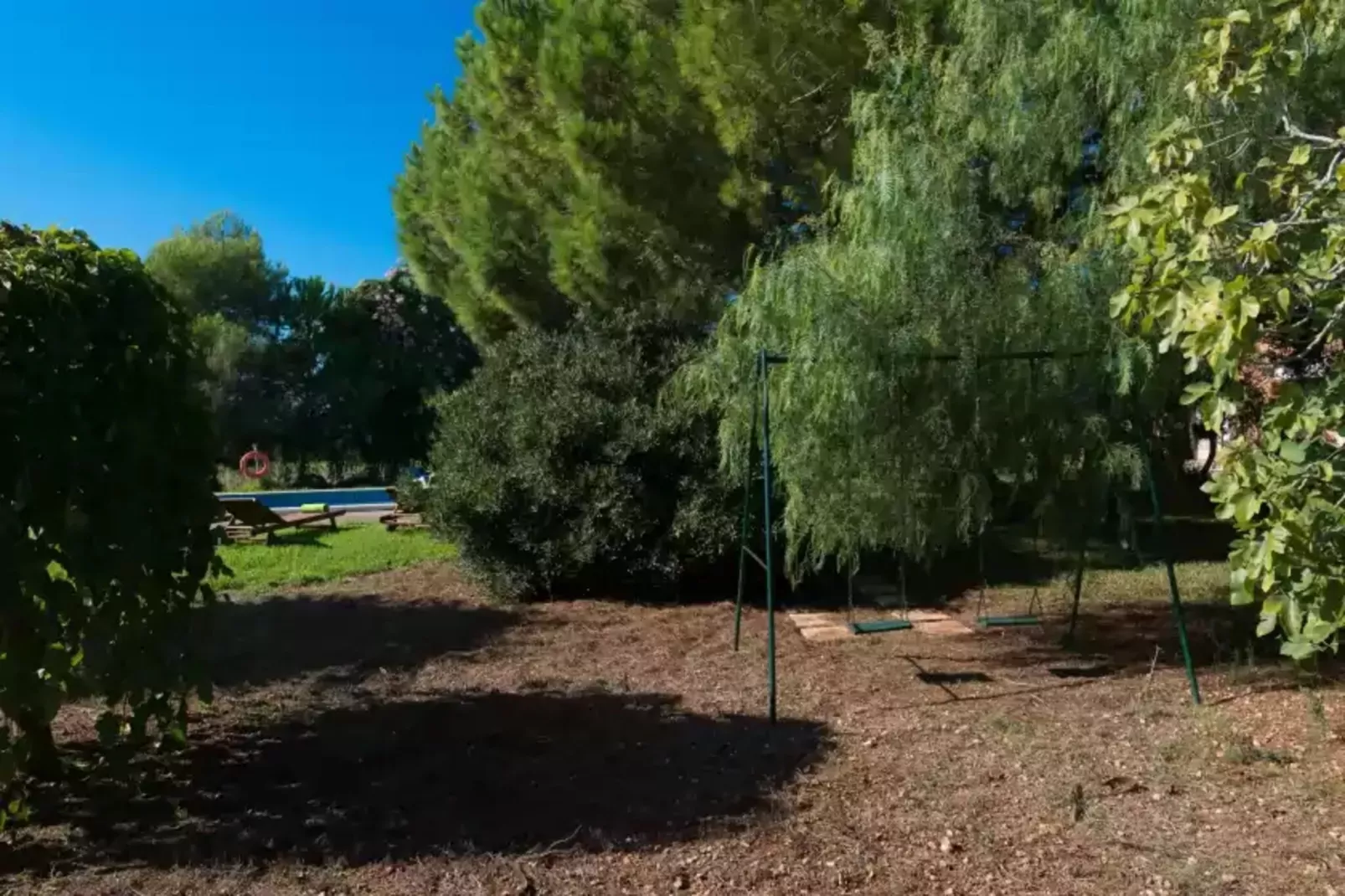 Son Obra Nou-Vue d'été