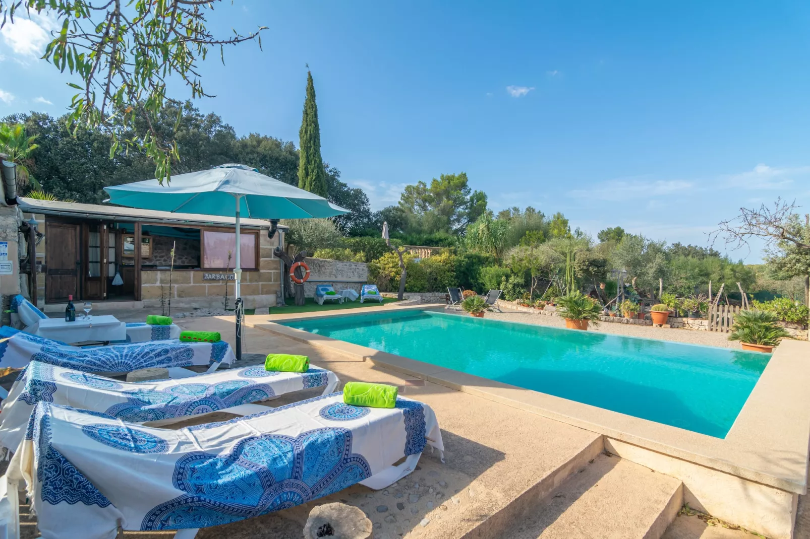 Finca Son Matginet 18-Pool
