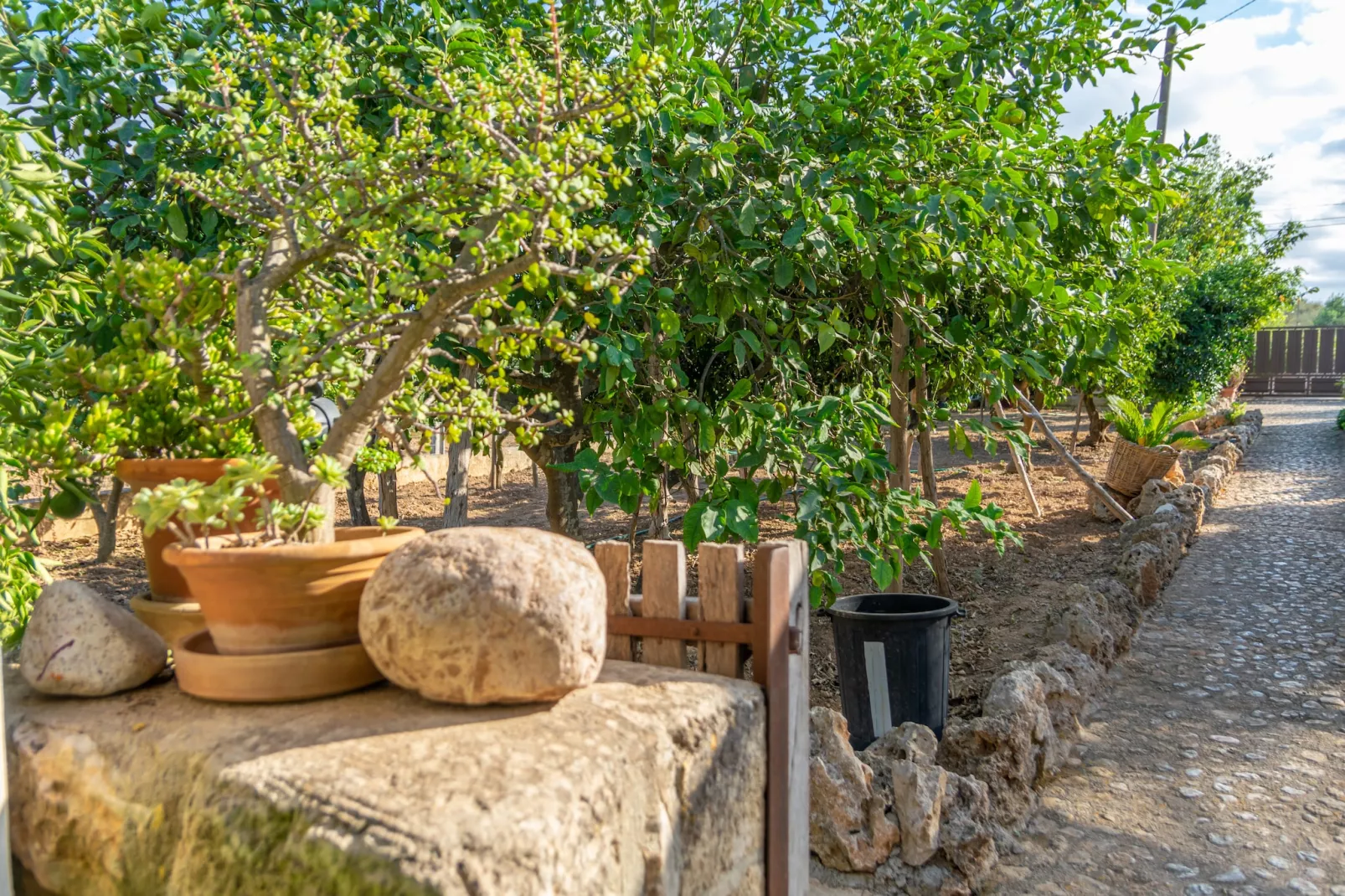 Finca Son Matginet 18-Atmosphere
