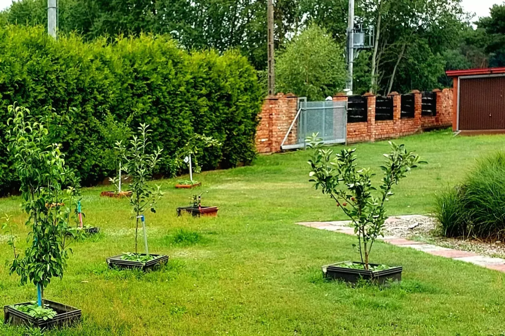 Holiday home Nowe Warpno Chick-Gardens summer