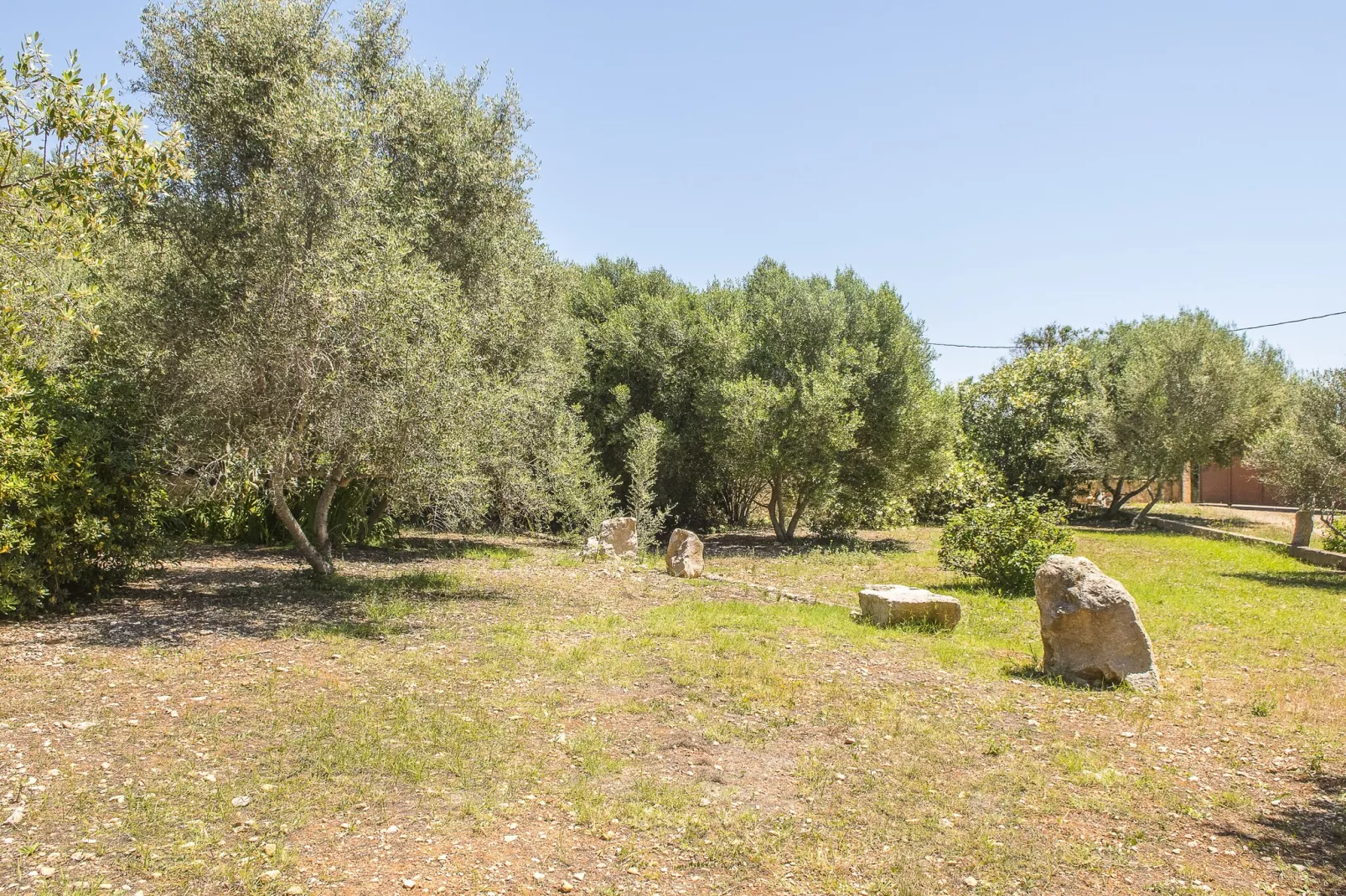 Finca Sa Plana-Gardens summer