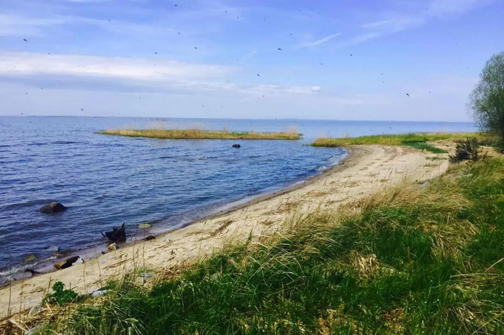 Holiday home Nowe Warpno Blau 1 for 6 persons-Areas summer 5km