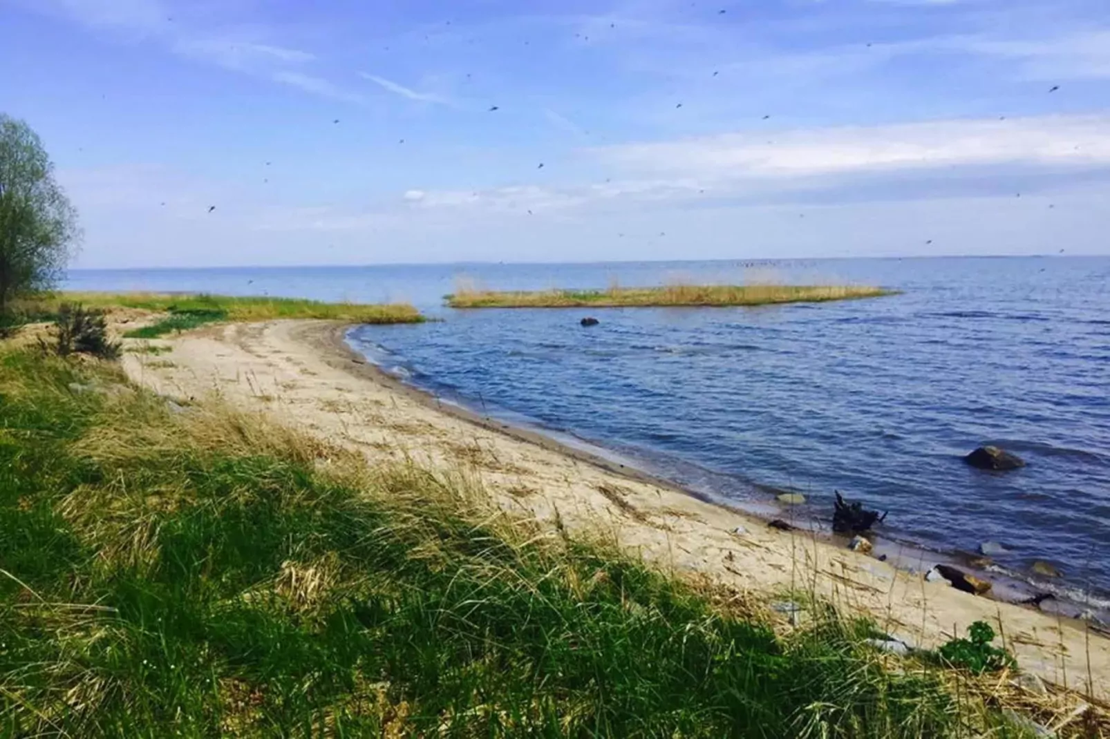 Holiday home Nowe Warpno Blau 1 for 6 persons-Areas summer 5km