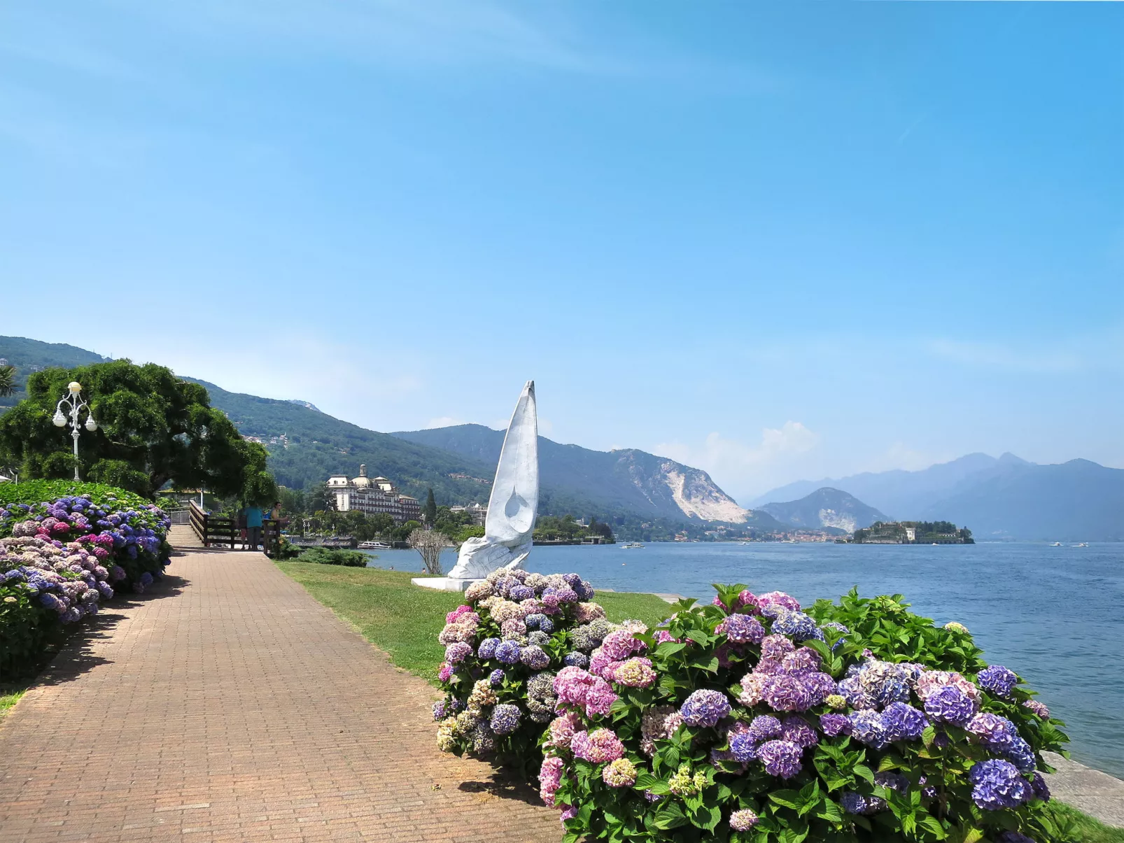 Delle Ortensie-Area