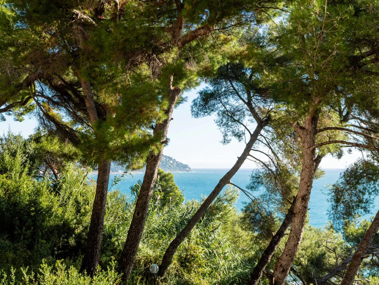 Il nido sul Mare-Outside