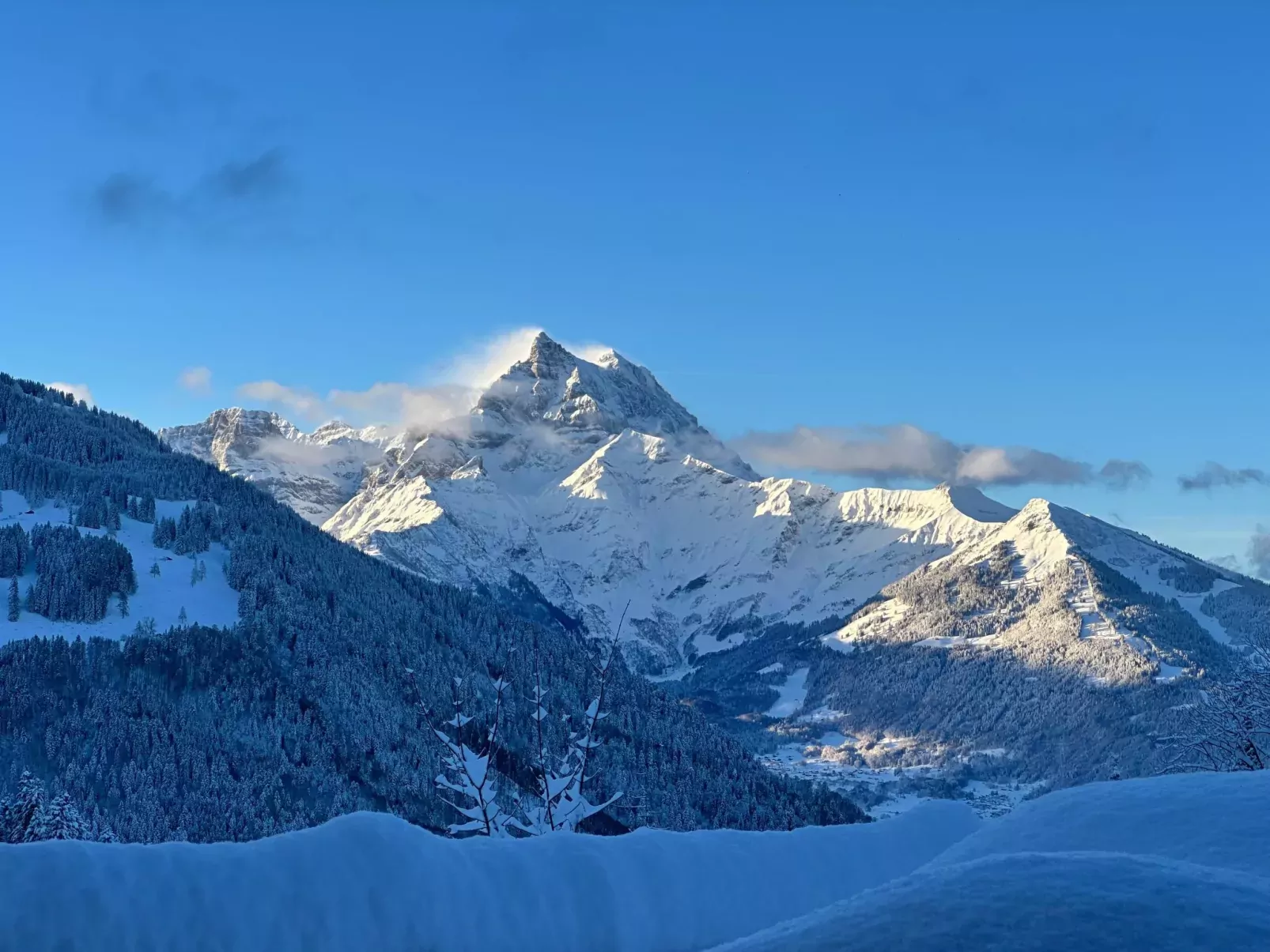 Chalet Les Pars-Draußen