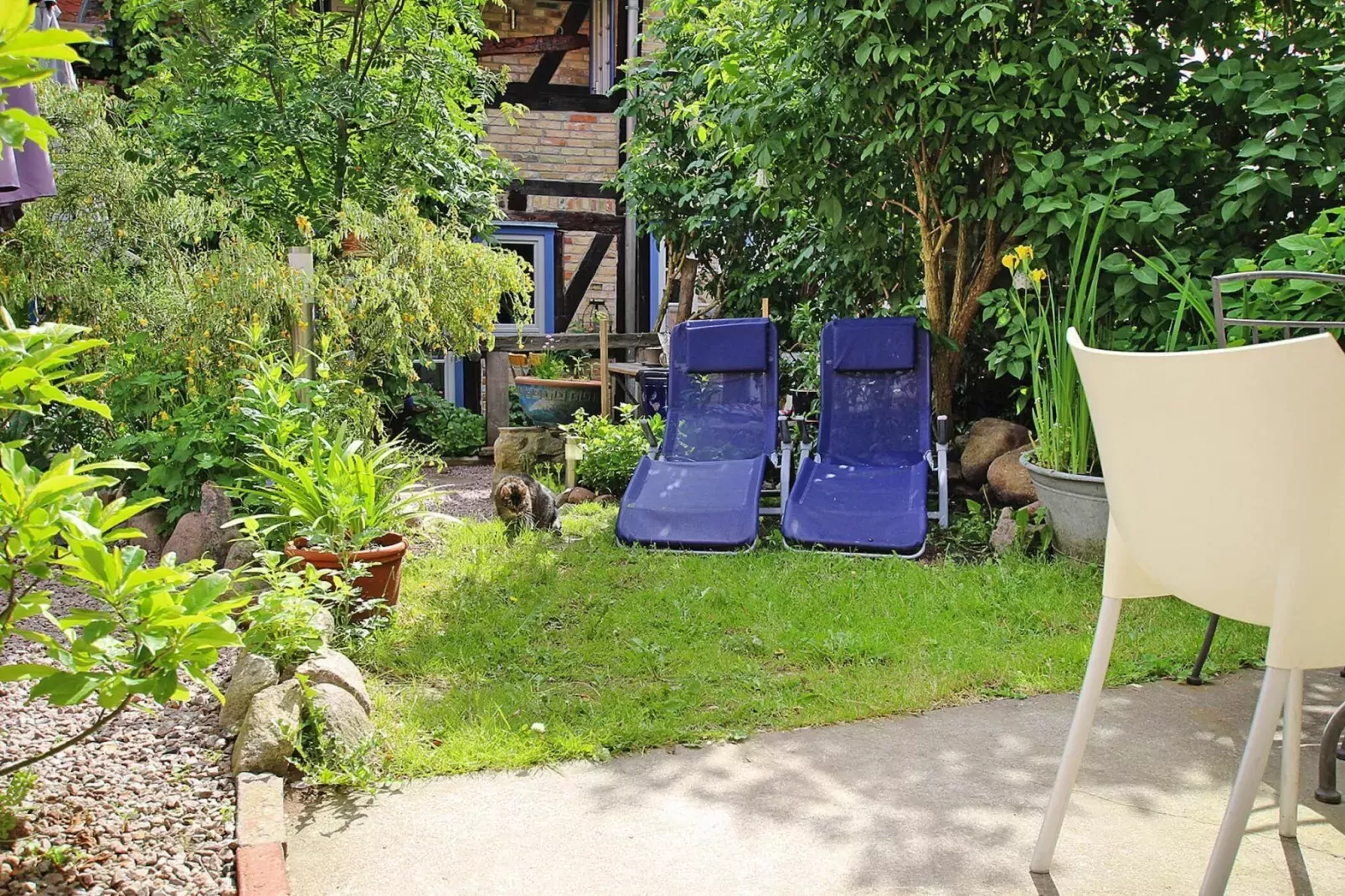 Wallstraße 47 qm Plau am See-Jardin d'été