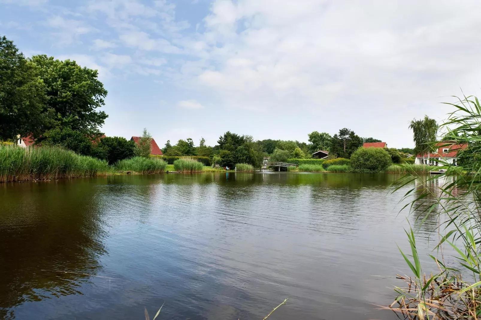 6 pers Renneborghuis Wellness Comfort met sauna-Areas summer 1km