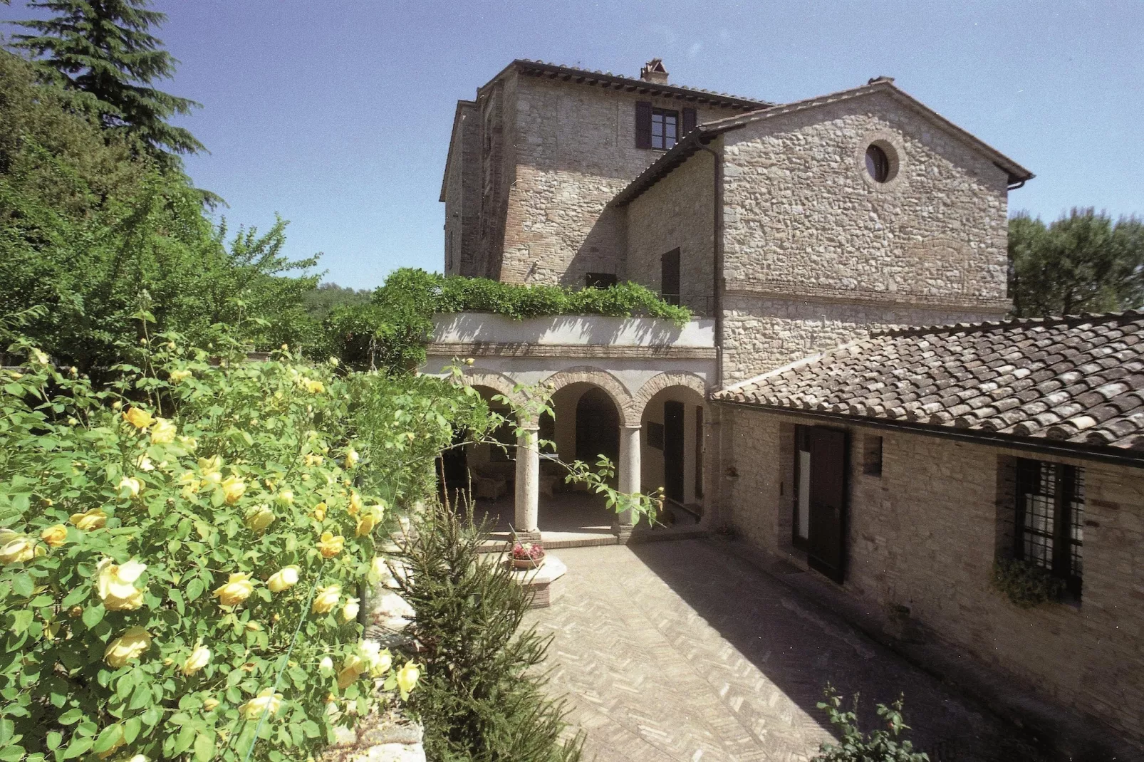 Armeria-Exterior summer
