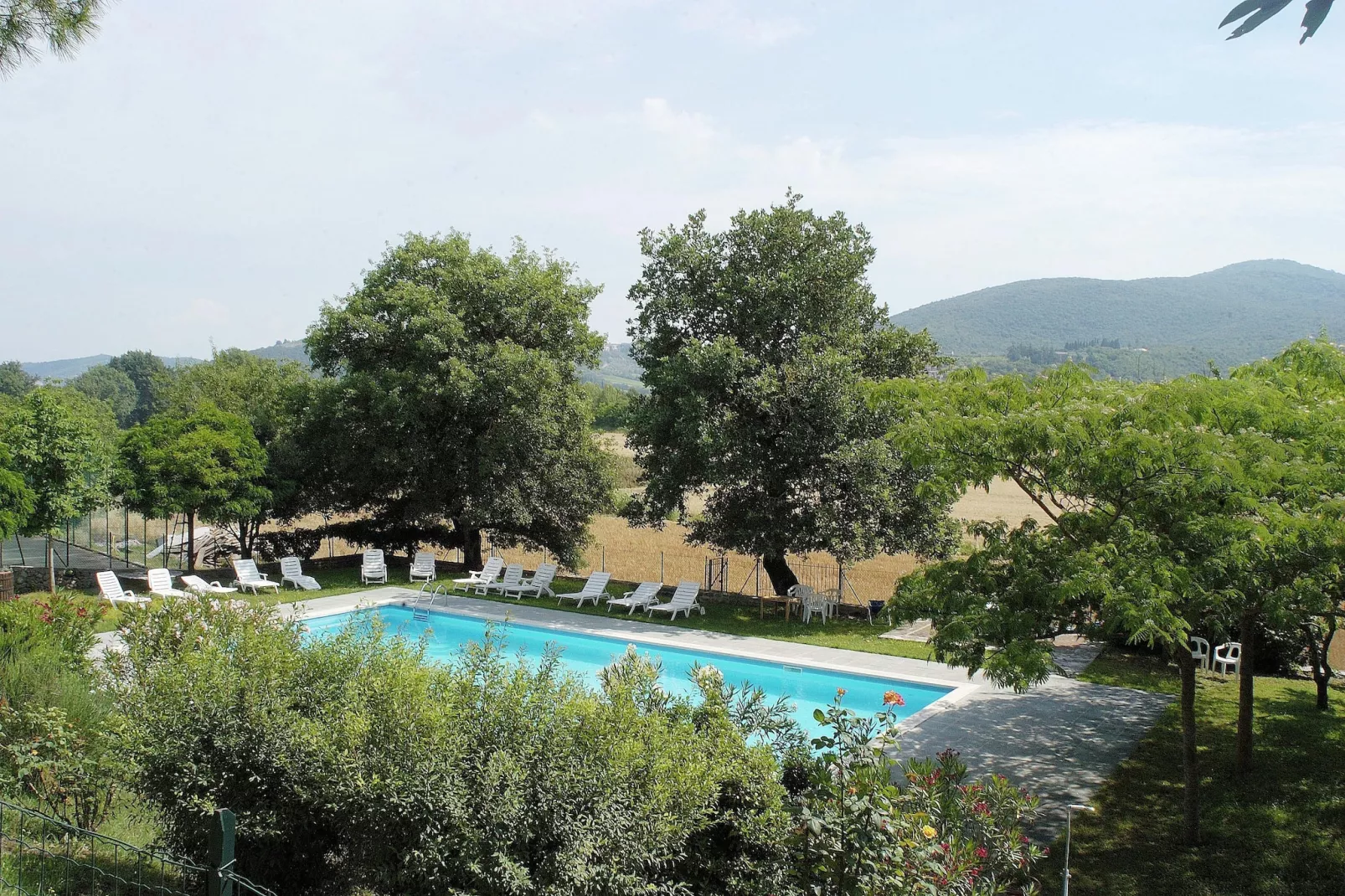 Armeria-Pool