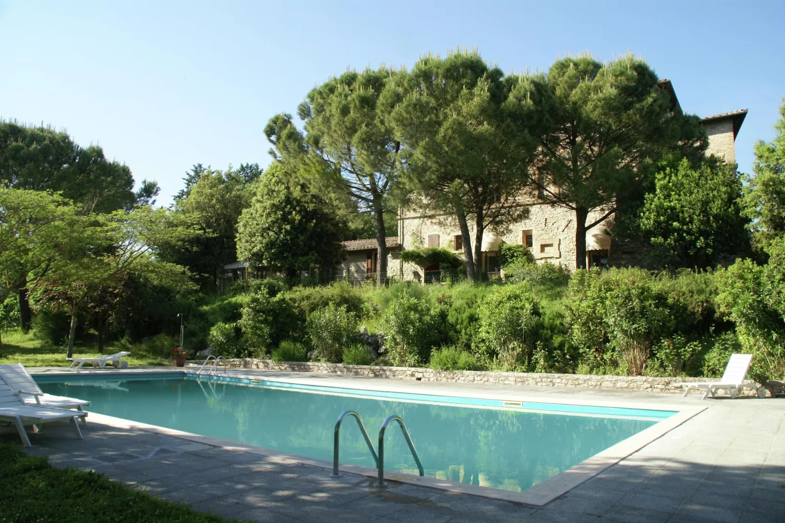 Armeria-Pool