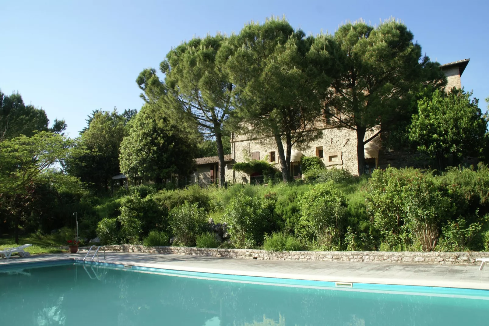 Armeria-Pool