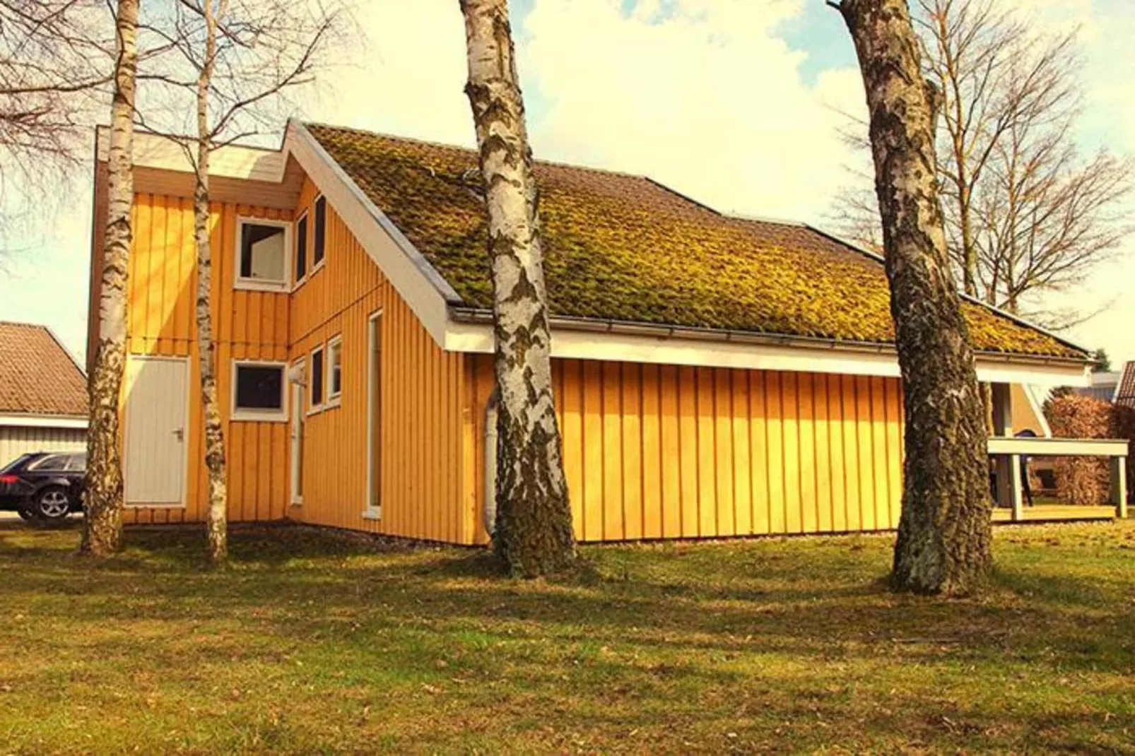 FH Wildgans Comfort Nr 280-Exterior summer