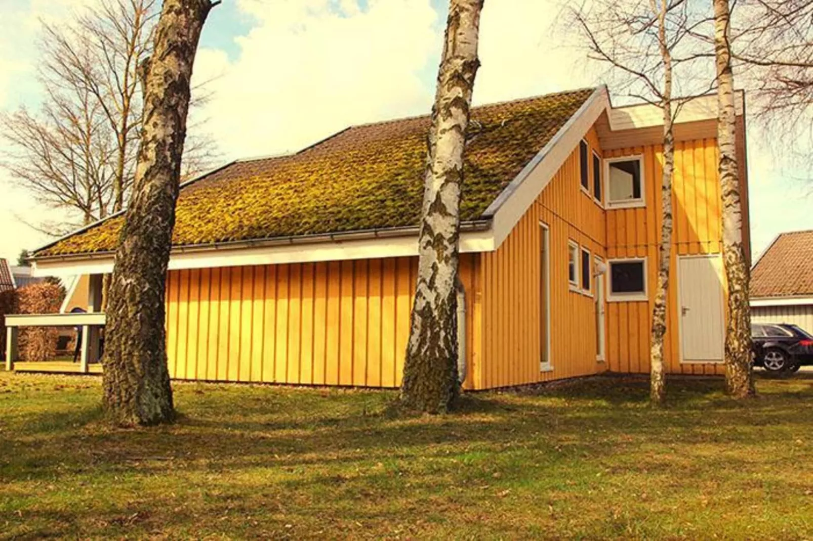 FH Wildgans Comfort Nr 280-Exterior summer