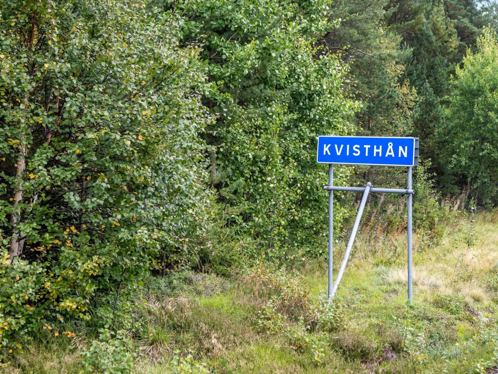 Kvisthån Tallen-Outside